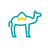 1212-camel-outline (3)